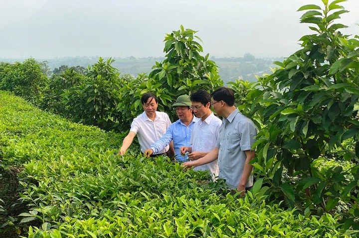 Lai Châu: Huy động mọi nguồn lực, ứng dụng khoa học và công nghệ để giảm nghèo bền vững- Ảnh 2. Lai Châu: Huy động mọi nguồn lực, ứng dụng khoa học và công nghệ để giảm nghèo bền vững- Ảnh 2.