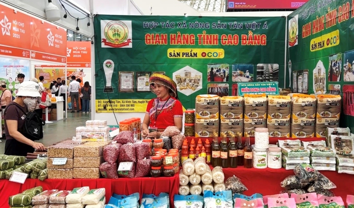 Phát triển sản phẩm OCOP gắn với xây dựng thương hiệu địa phương- Ảnh 1. Phát triển sản phẩm OCOP gắn với xây dựng thương hiệu địa phương- Ảnh 1.