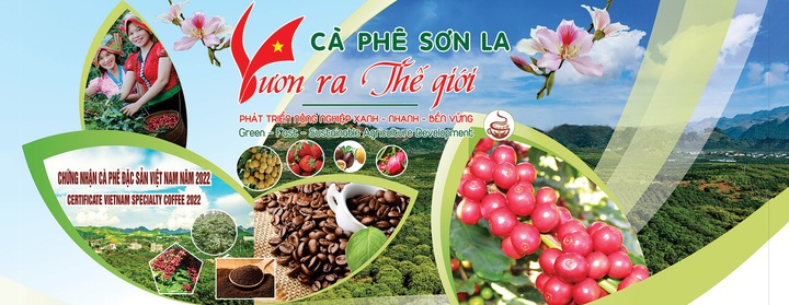 Kết nối để nâng tầm thương hiệu Arabica Sơn La- Ảnh 1. Kết nối để nâng tầm thương hiệu Arabica Sơn La- Ảnh 1.