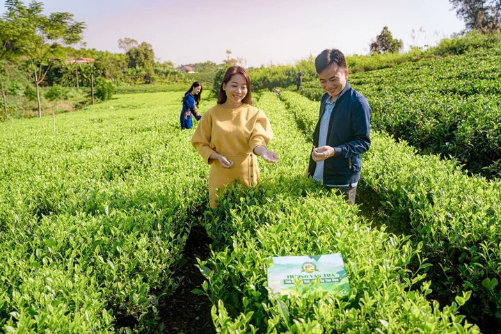 Trà Thái Nguyên – Khi di sản bước ra thế giới- Ảnh 2. Trà Thái Nguyên – Khi di sản bước ra thế giới- Ảnh 2.