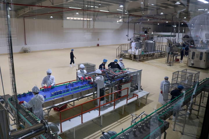 Sơn La lan tỏa chuyển đổi số và đổi mới sáng tạo, hiện thực hóa tinh thần Kế hoạch 02-KH/BCĐTW - Ảnh 2.