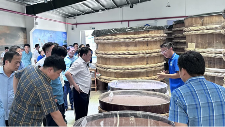 Ph&aacute;t triển n&ocirc;ng sản sạch &ndash; hướng đi bền vững để giảm ngh&egrave;o- Ảnh 2.