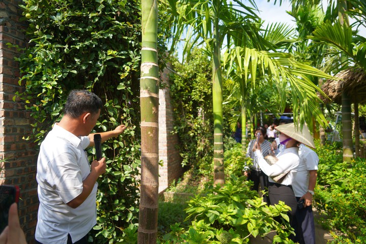 Thanh Ho&aacute; tăng tốc giảm ngh&egrave;o bền vững: Tỷ lệ hộ ngh&egrave;o giảm 4,76% sau 3 năm- Ảnh 1.