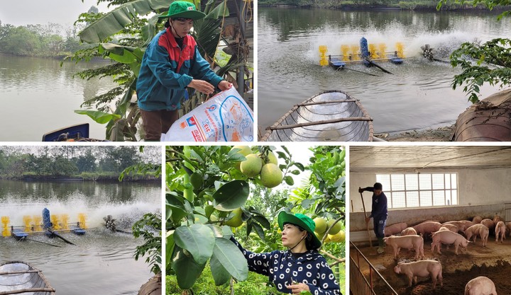 Ph&aacute;t triển n&ocirc;ng sản sạch &ndash; hướng đi bền vững để giảm ngh&egrave;o- Ảnh 1.