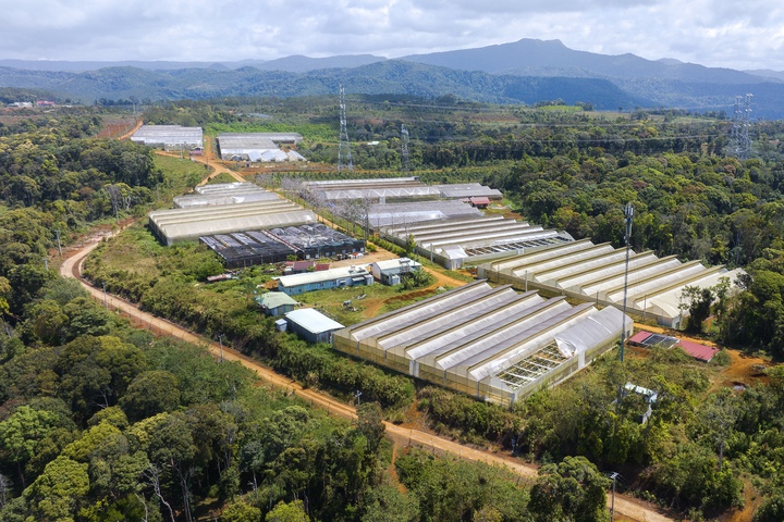 Giữ vững nông nghiệp công nghệ cao trong hành lang pháp lý phát triển quốc gia - Ảnh 2.