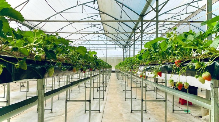 Giữ vững nông nghiệp công nghệ cao trong hành lang pháp lý phát triển quốc gia - Ảnh 1.