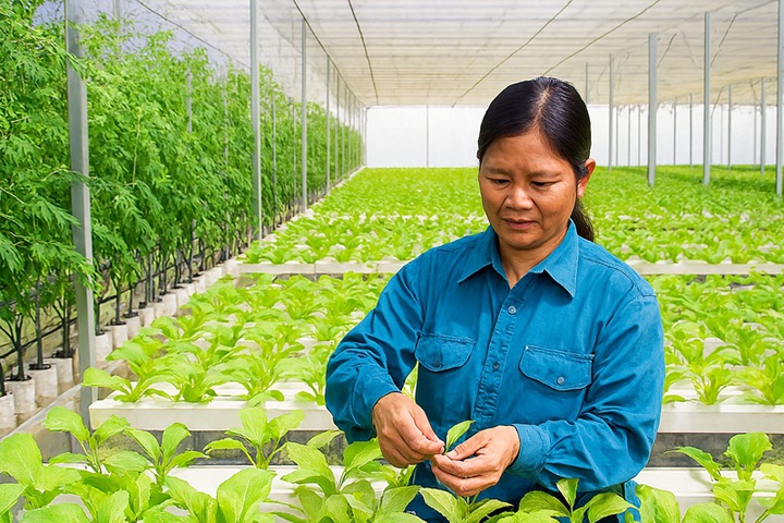 Từ tập quán truyền thống đến sản xuất sạch, công nghệ cao, hướng tới giảm nghèo bền vững - Ảnh 2.