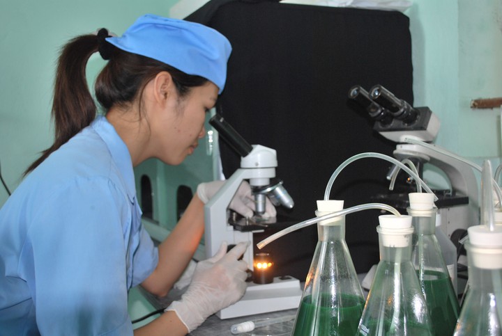 Dự thảo Báo cáo xác định yêu cầu thúc đẩy đột phá về KH,CN,ĐMST&CĐS phục vụ, kiến tạo phát triển.