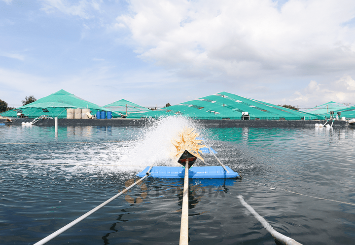 Cần bỏ tư duy 'không quản được thì cấm' - Ảnh 1.