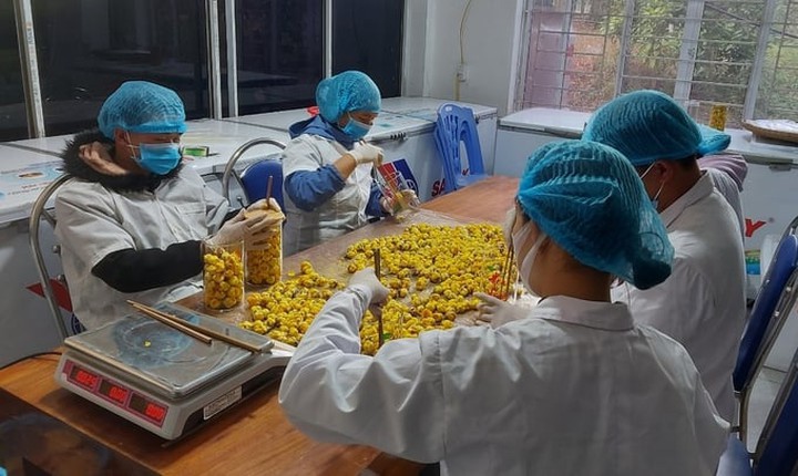 Hoàn thiện thể chế, bảo vệ quyền sở hữu trí tuệ cho doanh nghiệp Việt - Ảnh 1.