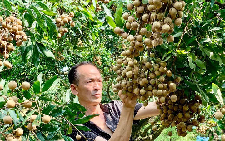  X&acirc;y dựng v&agrave; ph&aacute;t triển nh&atilde;n hiệu tập thể cho sản phẩm l&agrave;ng nghề - Ảnh 1.