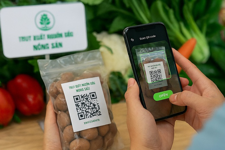 Chuyển đổi số mở ra hướng thoát nghèo bền vững cho nông dân Gia Lai- Ảnh 2.