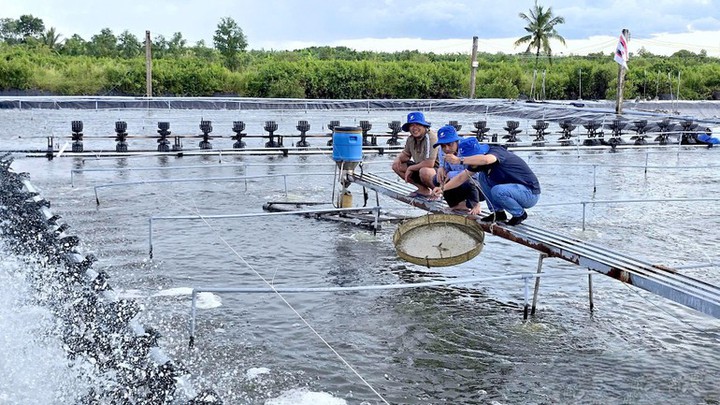 Cà Mau kiến tạo chính quyền số: Đột phá tư duy phát triển trong kỷ nguyên mới - Ảnh 2.