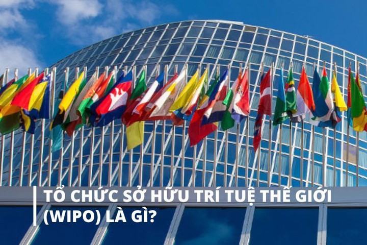 WIPO đồng h&agrave;nh c&ugrave;ng Việt Nam ph&aacute;t triển hệ thống sở hữu tr&iacute; tuệ - Ảnh 1.
