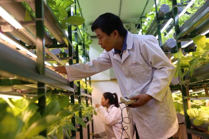 Hoàn thiện hệ thống tiêu chuẩn quốc gia phục vụ chuyển đổi xanh và mục tiêu phát thải thấp - Ảnh 1.