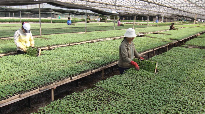 Tiêu chuẩn - Động lực then chốt thúc đẩy chuyển đổi xanh và phát triển bền vững tại Việt Nam - Ảnh 2.