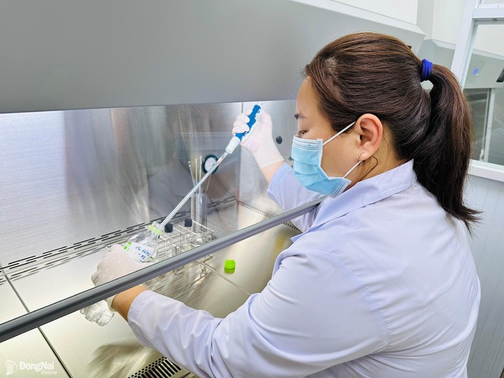 'GDP của Việt Nam phải tăng 5 lần trong 20 năm tới để đạt mục ti&ecirc;u trăm năm' - Ảnh 1.