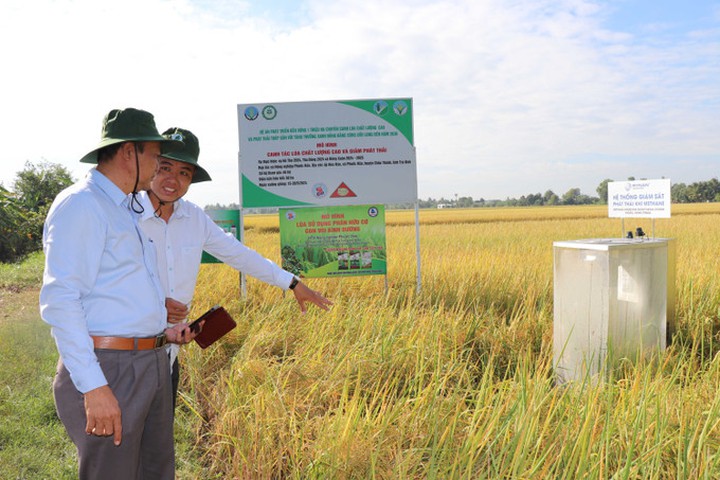 Trà Vinh tăng giá trị nông sản, giảm nghèo bằng nông nghiệp công nghệ cao - Ảnh 1.