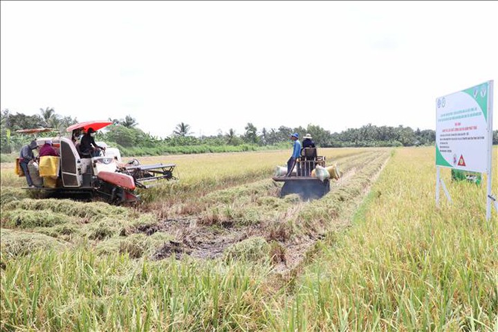 Trà Vinh: Hành trình thoát nghèo từ cánh đồng công nghệ - Ảnh 1.