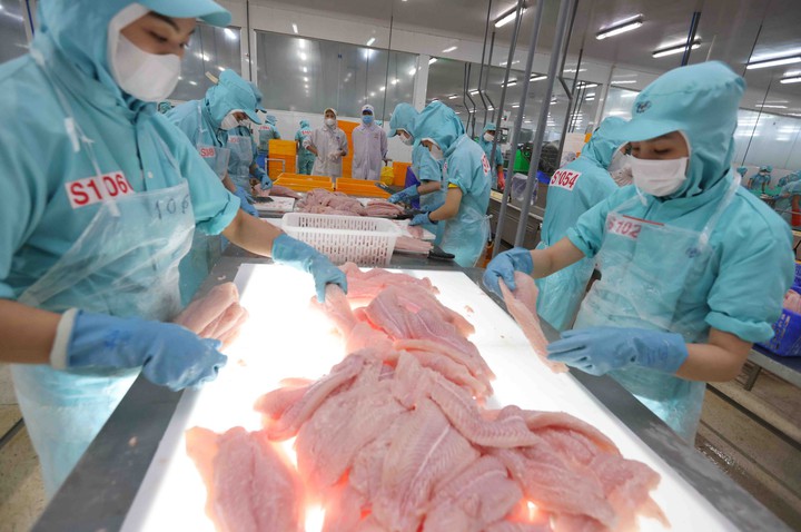 Cà Mau triển khai Nghị quyết 57 bằng các mô hình đổi mới, tạo động lực phát triển bền vững - Ảnh 2.