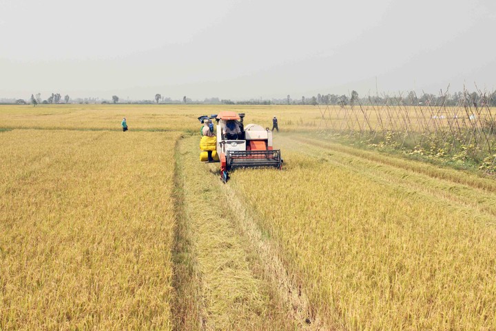 An Giang đẩy mạnh khoa học công nghệ và chuyển đổi số - Nền tảng cho tăng trưởng nhanh, bền vững - Ảnh 1.