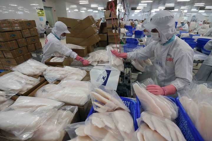 An Giang đẩy mạnh khoa học công nghệ và chuyển đổi số - Nền tảng cho tăng trưởng nhanh, bền vững - Ảnh 2.