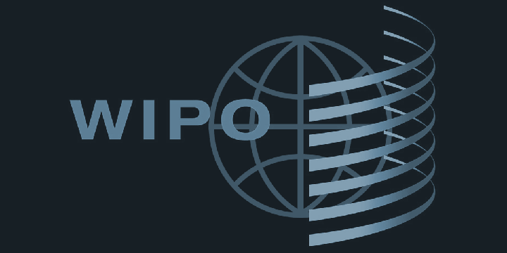 Việt Nam đặt mục tiêu năm 2030 vào top 40 thế giới về chỉ số đổi mới sáng tạo - Ảnh 1.