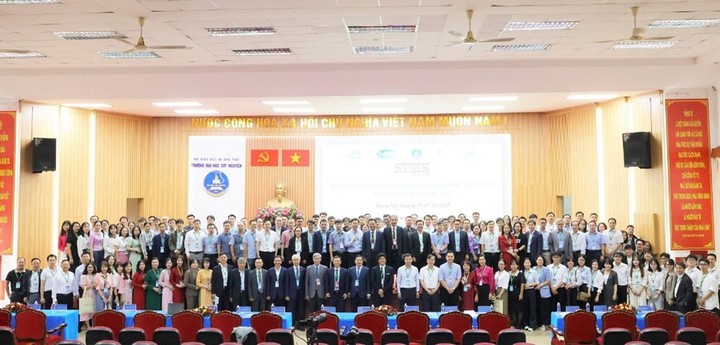 Lan tỏa tri thức, thúc đẩy nghiên cứu khoa học vật liệu từ Tây Nguyên - Ảnh 2.