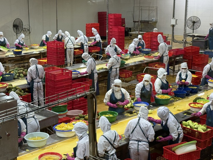 Khoa học nông nghiệp: Từ phòng thí nghiệm đến cánh đồng - Ảnh 1.