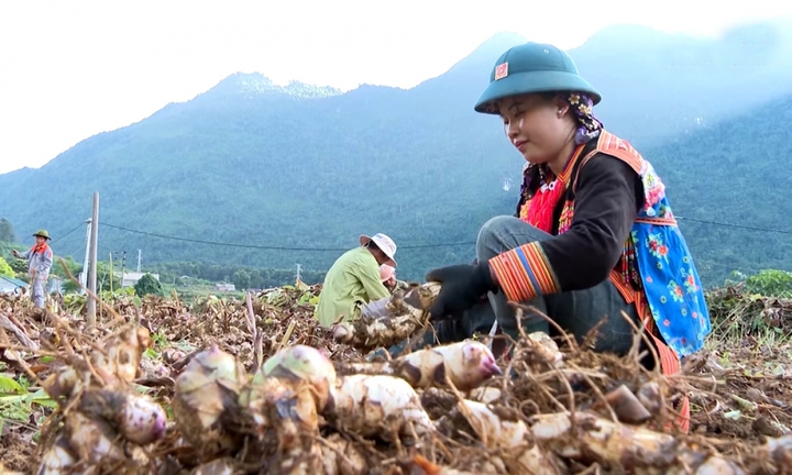 An Giang - Chuyển biến rõ nét trong xây dựng nông thôn mới và giảm nghèo bền vững - Ảnh 1.