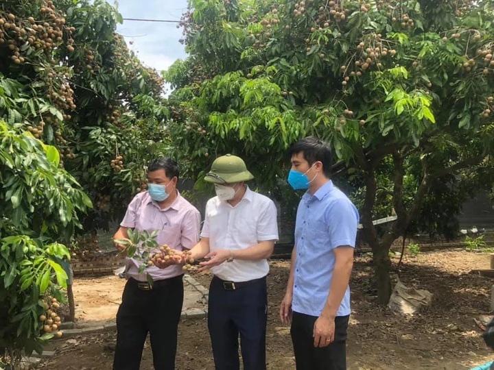 Thực thi quyền sở hữu trí tuệ: Cần thêm chế tài xử lý - Ảnh 1.