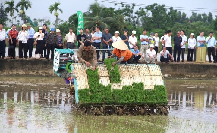 Hải Phòng hướng tới nông nghiệp công nghệ cao, quy mô lớn - Ảnh 1.