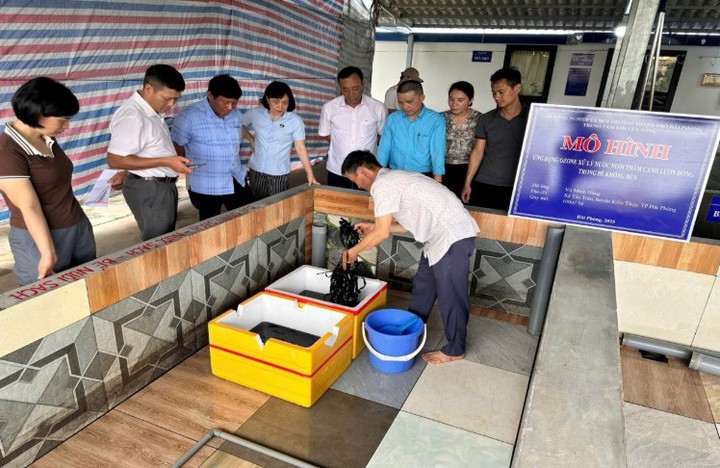 Giải ph&aacute;p ph&aacute;t triển HTX n&ocirc;ng nghiệp - hướng tới tăng trưởng xanh v&agrave; bền vững ở Hải Ph&ograve;ng - Ảnh 1.