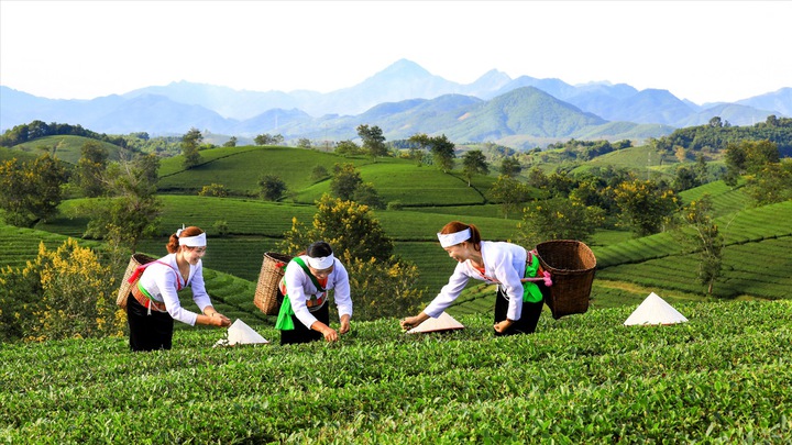 Phú Thọ: Ứng dụng khoa học, công nghệ và chuyển đổi số để xây dựng nông thôn mới gắn với bản sắc vùng - Ảnh 1.