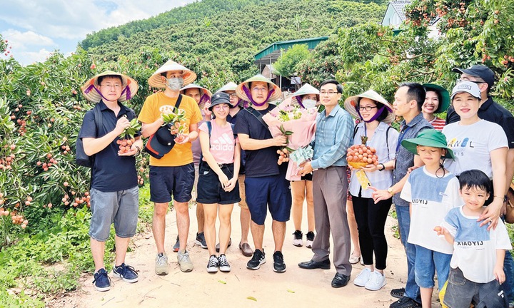 Bắc Ninh: Đưa sản phẩm OCOP thành "đại sứ" du lịch nhờ sức mạnh khoa học công nghệ - Ảnh 1.