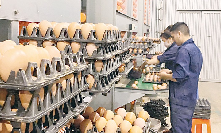 Bắc Ninh: Bắt nhịp công nghệ số, nâng sức cạnh tranh cho nông sản - Ảnh 1.