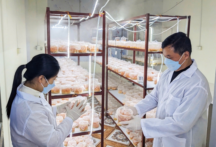 Cao Bằng đẩy mạnh khoa học, công nghệ và đổi mới sáng tạo thúc đẩy phát triển kinh tế – xã hội - Ảnh 2.