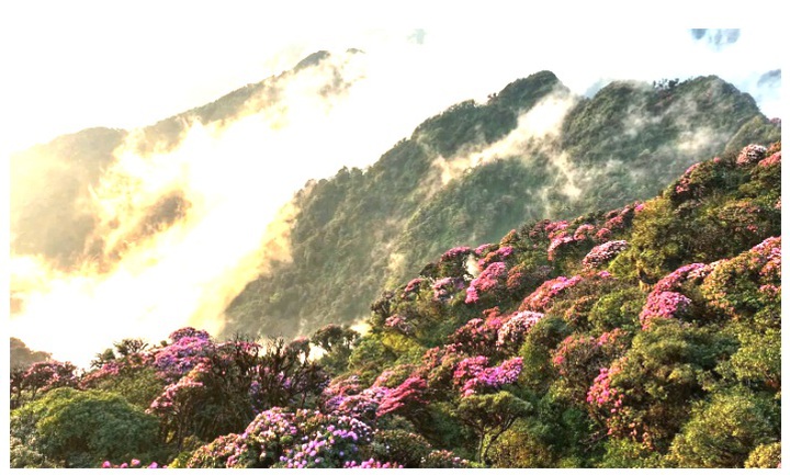 Công nghệ trở thành lực đẩy chiến lược Net Zero - Ảnh 2.