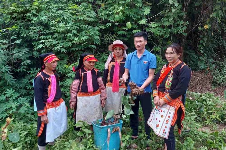 Khoa học công nghệ và đổi mới sáng tạo - Nền tảng cho giảm nghèo bền vững tại Cà Mau - Ảnh 1.