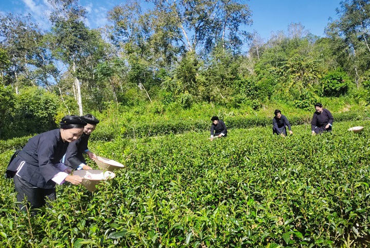 Cao Bằng: Khoa học, công nghệ và đổi mới sáng tạo tạo động lực phát triển kinh tế - xã hội - Ảnh 1.