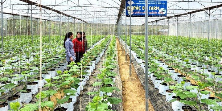 Cao Bằng đẩy mạnh khoa học, công nghệ và đổi mới sáng tạo thúc đẩy phát triển kinh tế – xã hội - Ảnh 1.