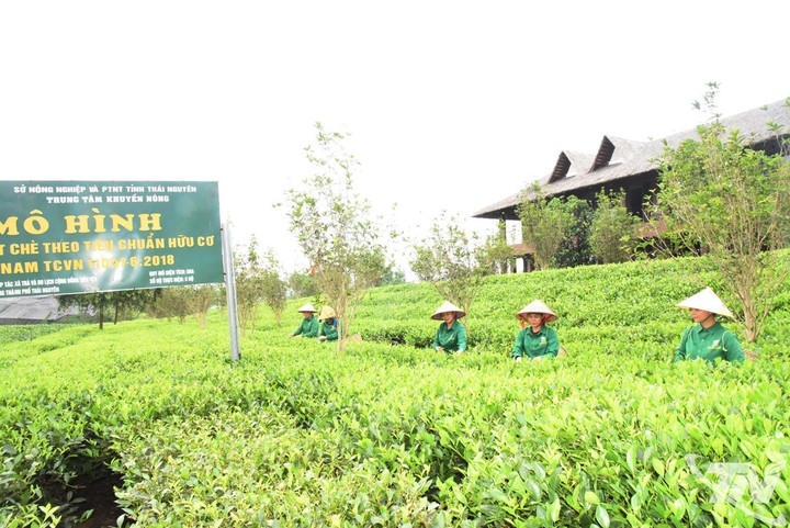 Khoa học và công nghệ dẫn dắt hành trình phát triển mới của Thái Nguyên - Ảnh 1.