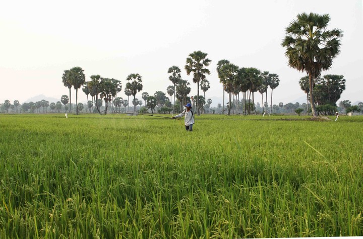 Thích ứng biến đổi khí hậu - hướng đi mới trong công tác giảm nghèo ở Cà Mau - Ảnh 1.