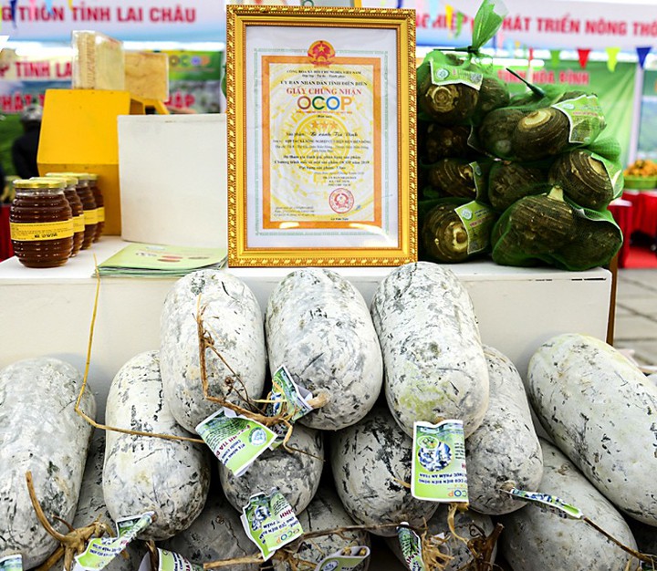 Điện Biên: Ứng dụng khoa học, công nghệ và đổi mới sáng tạo thúc đẩy phát triển và giảm nghèo bền vững - Ảnh 1.