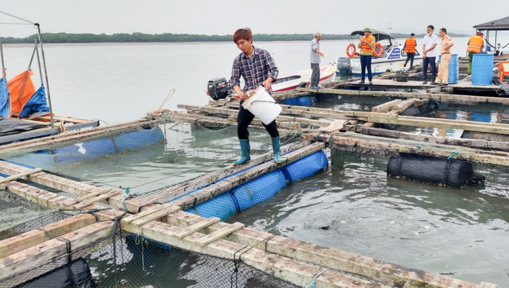Quảng Ninh: Khoa học công nghệ tạo đột phá trong sản xuất xanh và giảm nghèo bền vững - Ảnh 1.