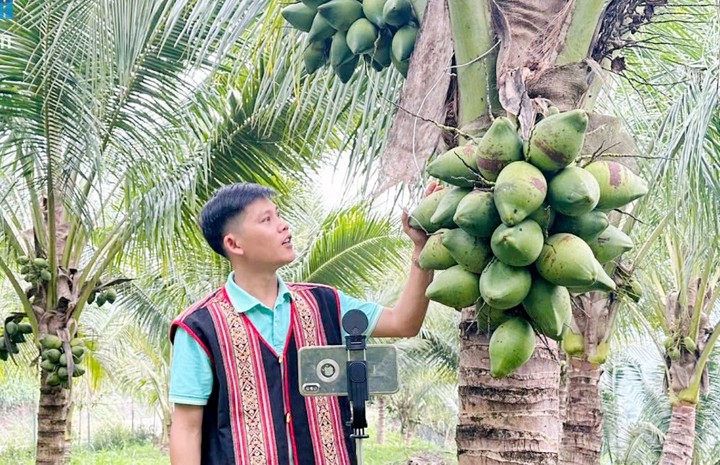 Tạo đột phá bằng khoa học công nghệ và chuyển đổi số ở Quảng Ngãi- Ảnh 1.