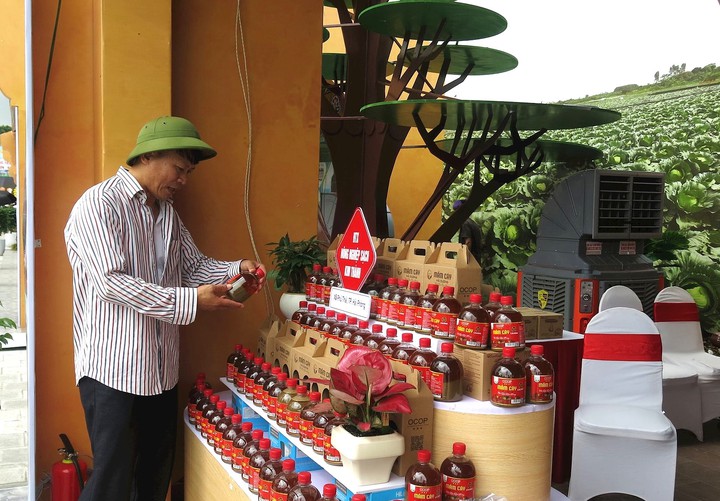 Doanh nghiệp, hợp tác xã Hải Phòng trên hành trình số hóa- Ảnh 1. Doanh nghiệp, hợp tác xã Hải Phòng trên hành trình số hóa- Ảnh 1.