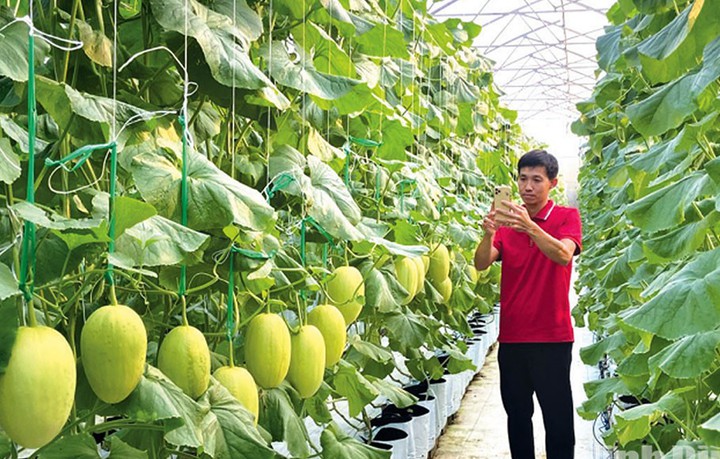 Kinh tế số trở thành động lực tăng trưởng mới của Ninh Bình- Ảnh 1. Kinh tế số trở thành động lực tăng trưởng mới của Ninh Bình- Ảnh 1.