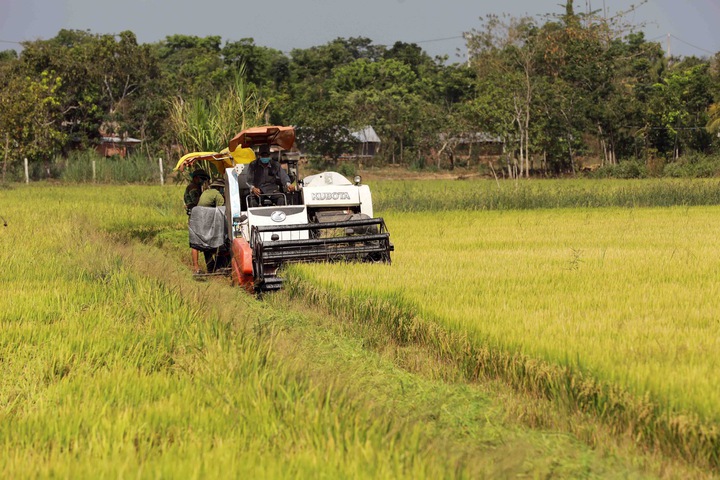 Cà Mau – Đẩy mạnh khai thác ưu thế công nghệ số- Ảnh 1.