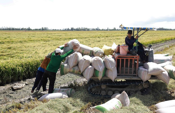 An Giang - Phát triển KH,CN, ĐMST&CĐS là khâu đột phá chiến lược- Ảnh 1. An Giang - Phát triển KH,CN, ĐMST&CĐS là khâu đột phá chiến lược- Ảnh 1.
